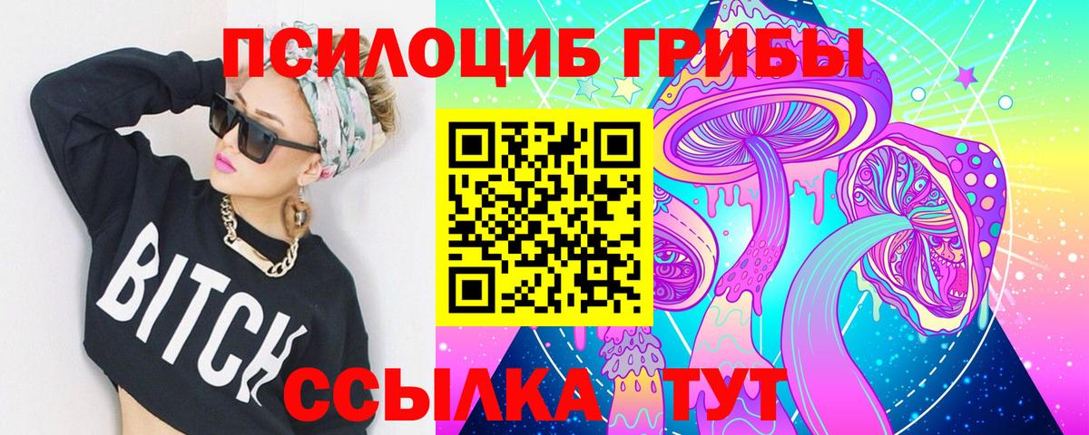 Дзержинский  Галлюциногенные грибы прущие грибы  Вход с VPN 