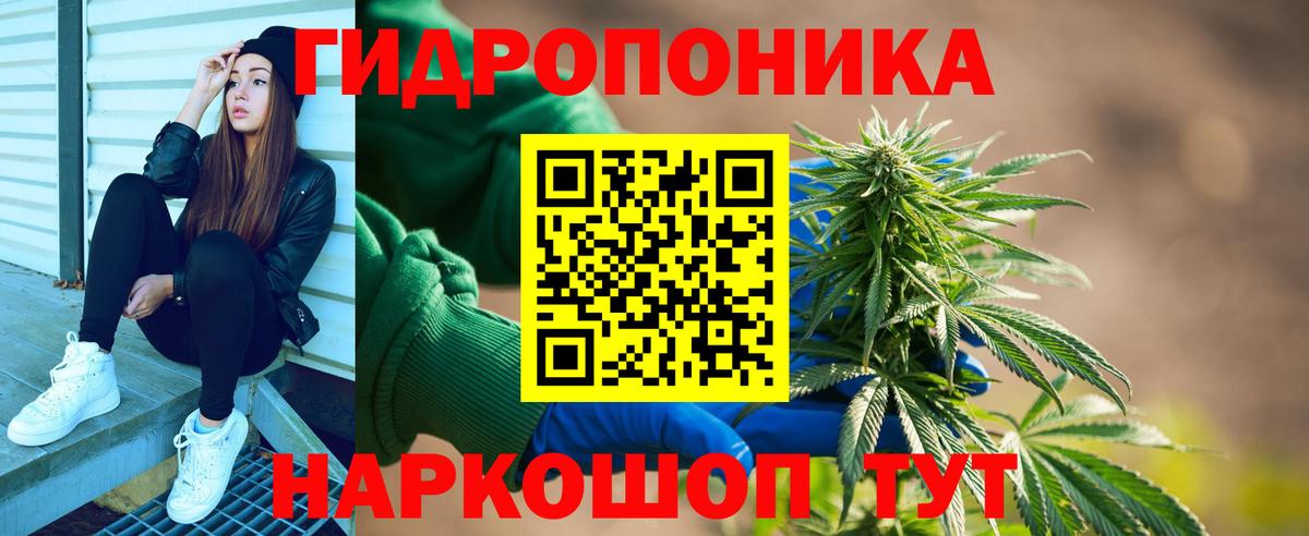 Бошки марихуана ГИДРОПОН Дзержинский